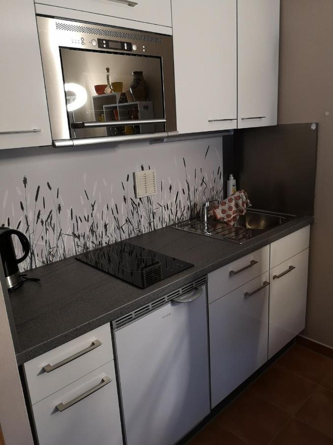 Apartment Michaela Sankt Englmar Zewnętrze zdjęcie